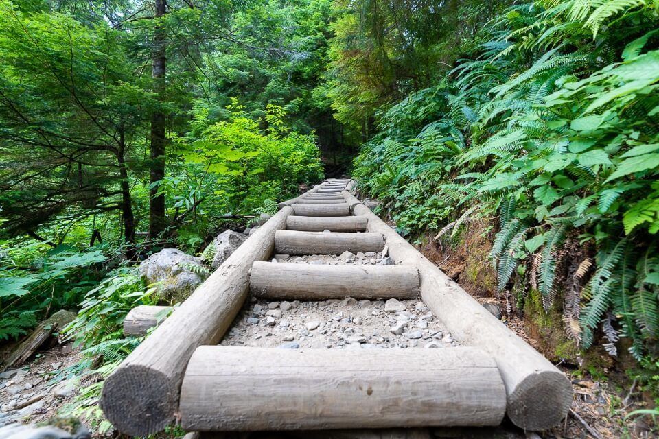 Ladder style wooden boardwalk hiking trail to lake 22 in washington