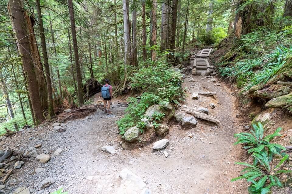 Switchback on the descent from Lake 22 back to the parking lot near granite falls washington awesome forest trail hairpin bend