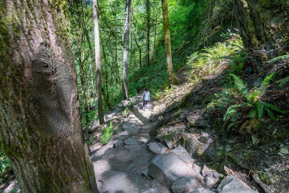 How To Hike Poo Poo Point Trail And Chirico Trail Near Seattle