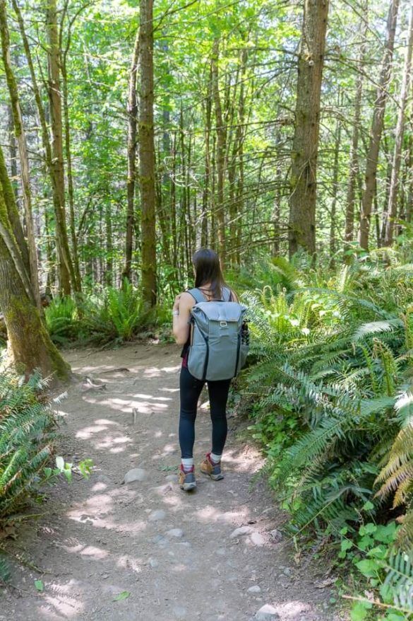 How To Hike Poo Poo Point Trail And Chirico Trail Near Seattle