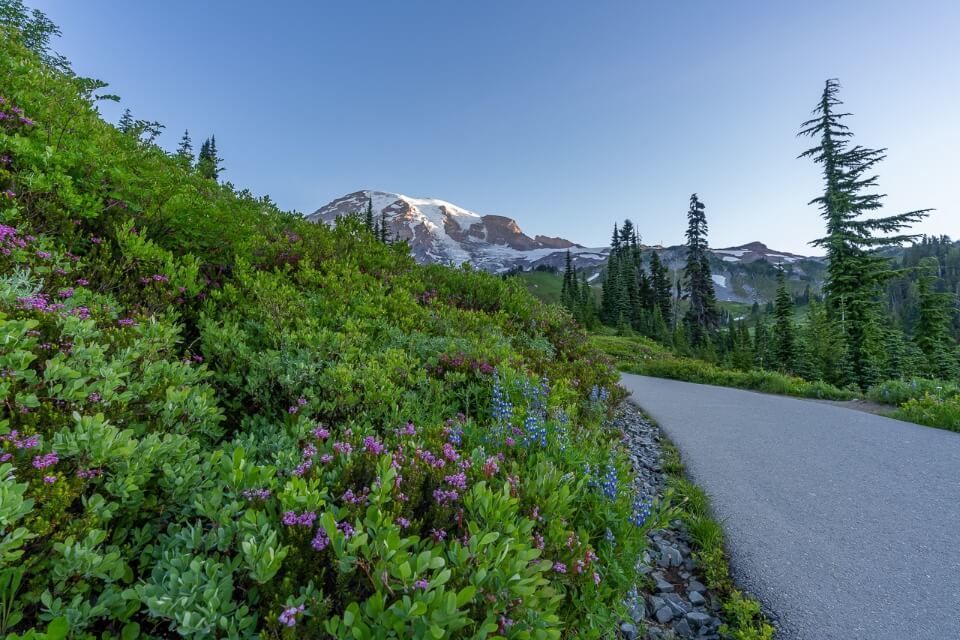 Start of a famous hike in washington with wildflowers
