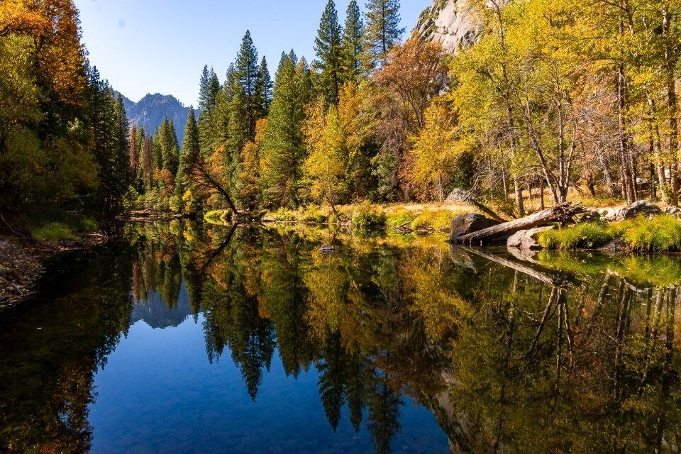 Fall colors in trees reflecting in merced river