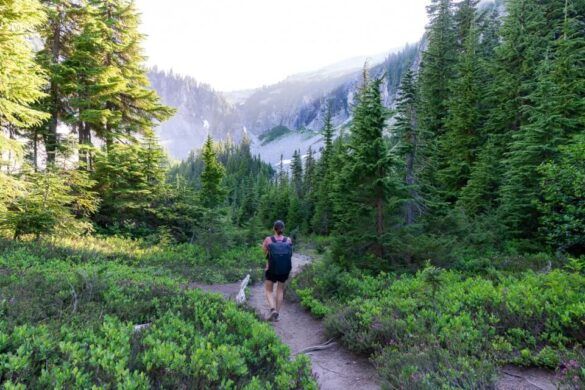 Bench And Snow Lake Trail: Wonderful Short Hike In Mt Rainier