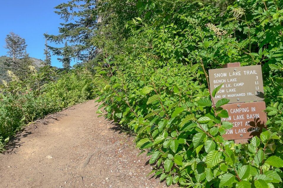 Trailhead sign and path leading into forest in washington