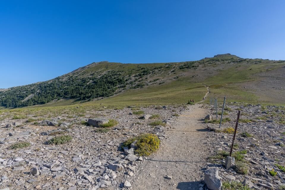 Path leading up to a ridge with mount fremont fire tower