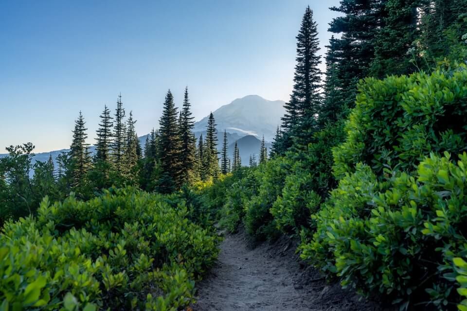 Hazy sky surrounding mt rainier near sunset in washington