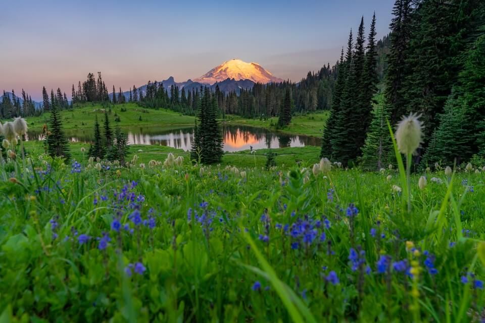 Stunning reflection of Mt Rainier in Tipsoo Lake with wildflowers and meadows on Chinook Pass end of Naches Peak Loop Trail hike Where Are Those Morgans