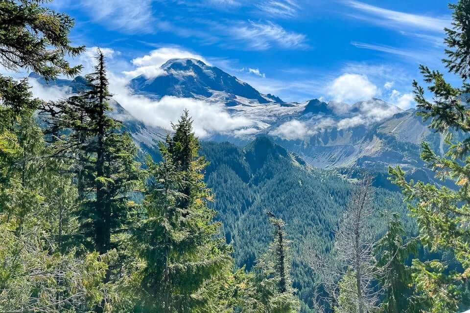 Eagle Cliff Overlook in Washington views of mountains and forest