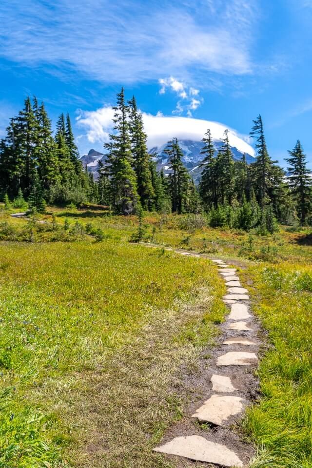 Meadows with paving slab walkway and trees