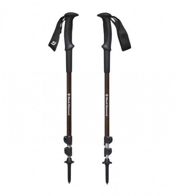 trekking poles are an easy holiday gift idea for outdoor lovers