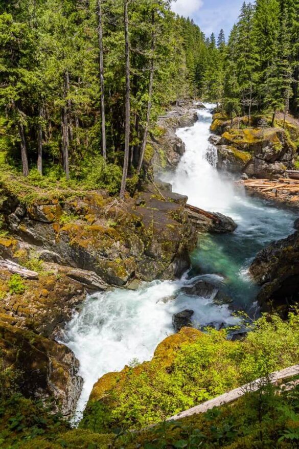 23 Best Hikes In Mt Rainier National Park For 2023