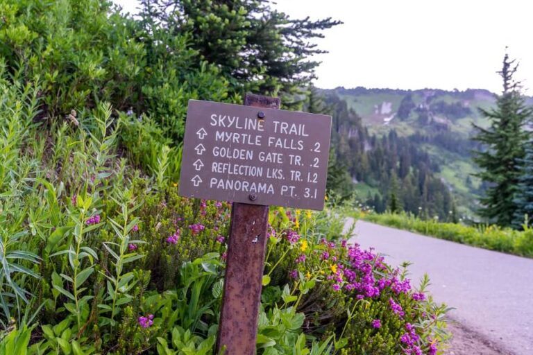 Best Hikes In Mt Rainier 23 Easy, Moderate And Hard Trails