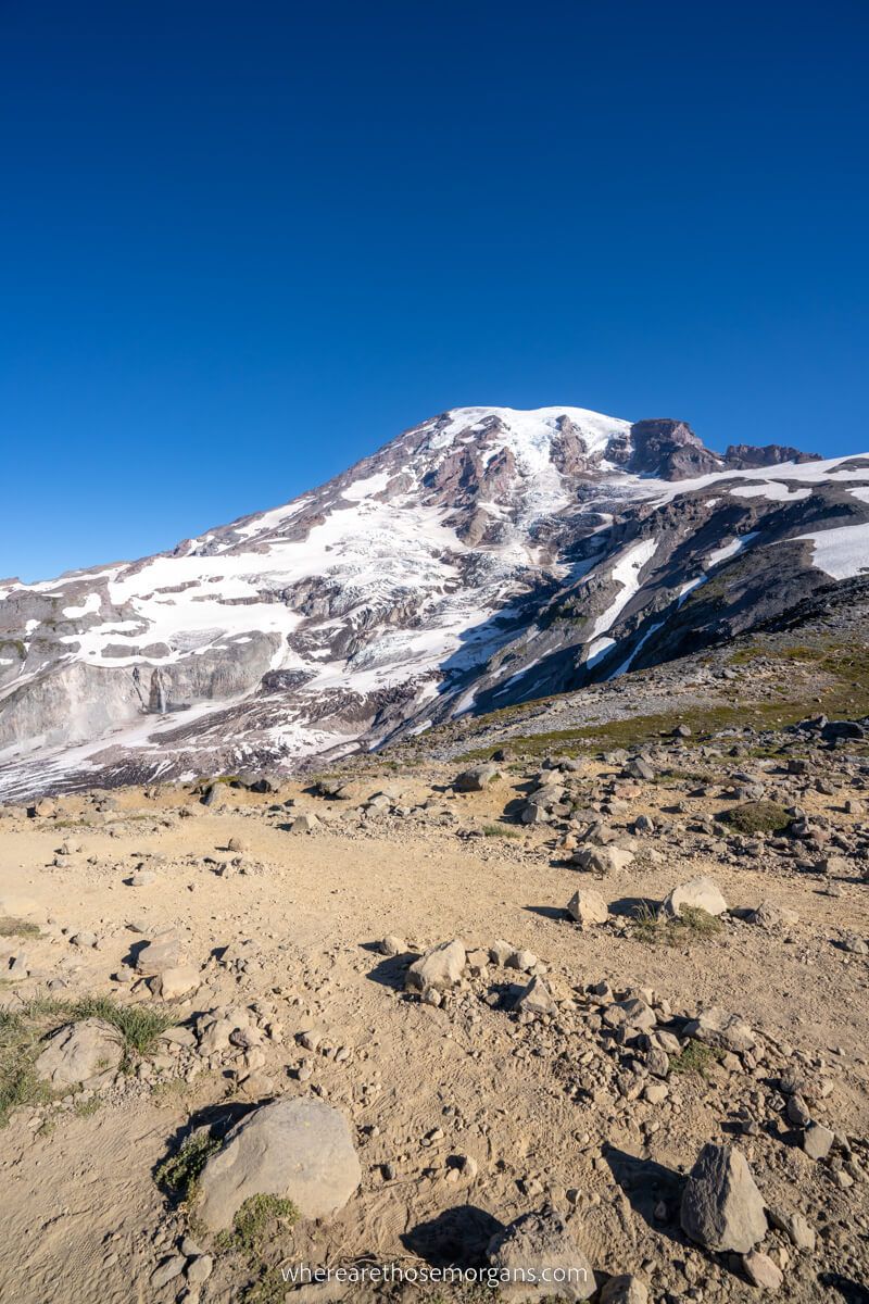 Mount Rainier summit from the top of Skyline Trail with deep blue sky