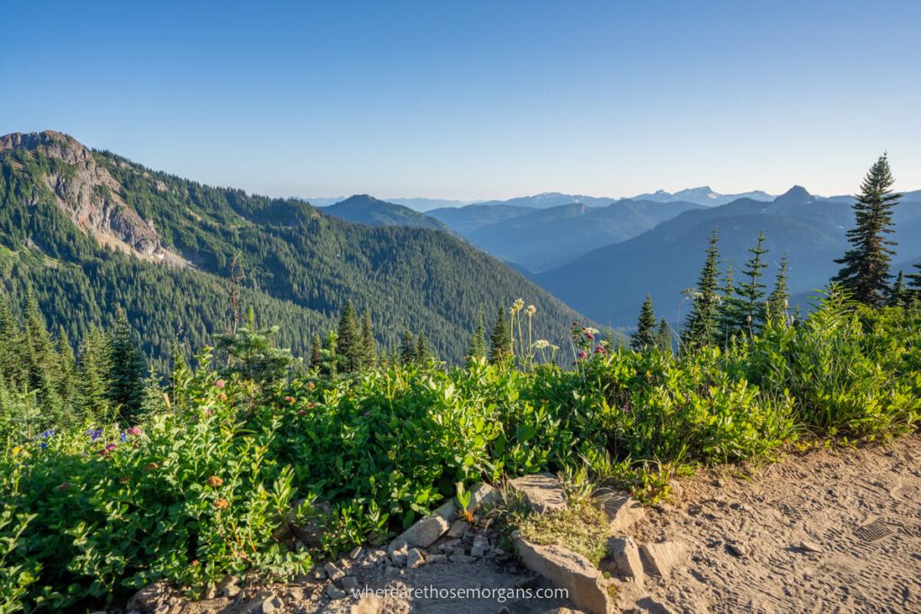 Striking views from a hiking trail joined to the Pacific Crest Trail in Mt Rainier national park washington