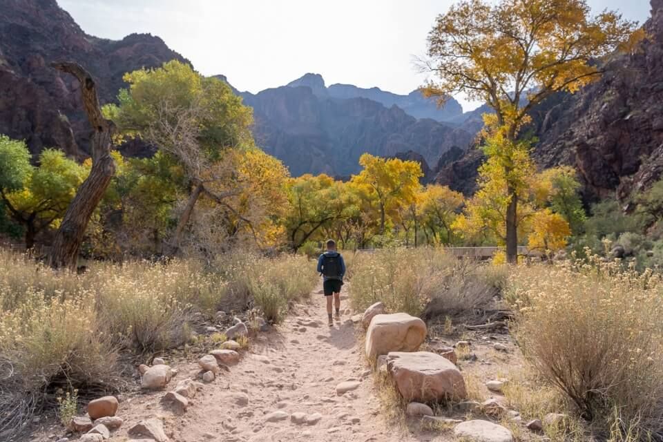 Walking on a trail at phantom ranch near colorado river looking back up at grand canyon south rim is an intimidating viewpoint