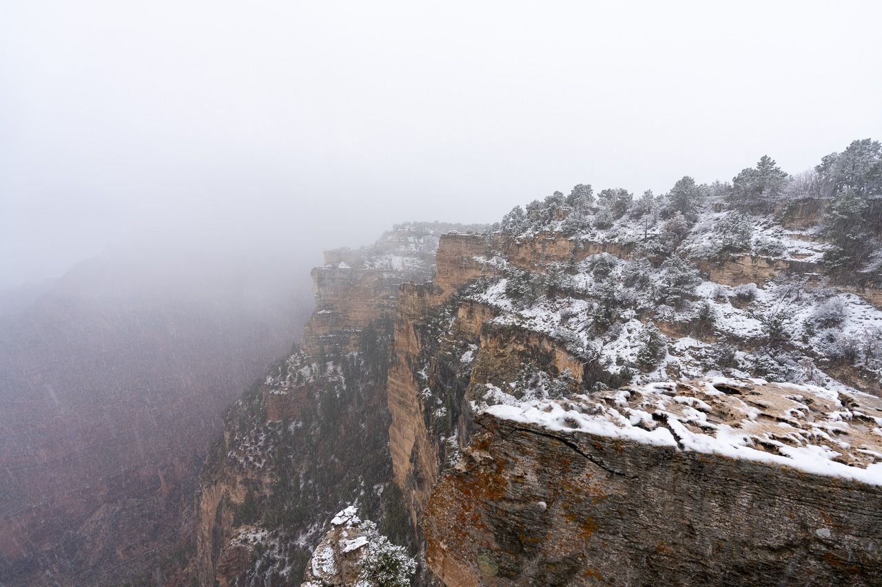 Snow falling on south rim in december fog and mist