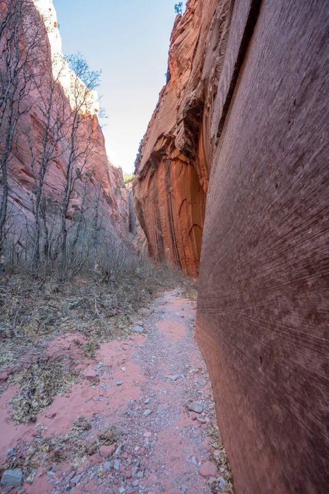 Hiking trail following a towering orange sandstone wall in kolob canyon zion national park on a sunny day in winter