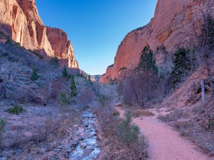 Where Are Those Morgans hiking in Zion National Park Middle Fork of Taylor Creek right after sunrise path and river in shadow on one of the best hikes in Kolob Canyon