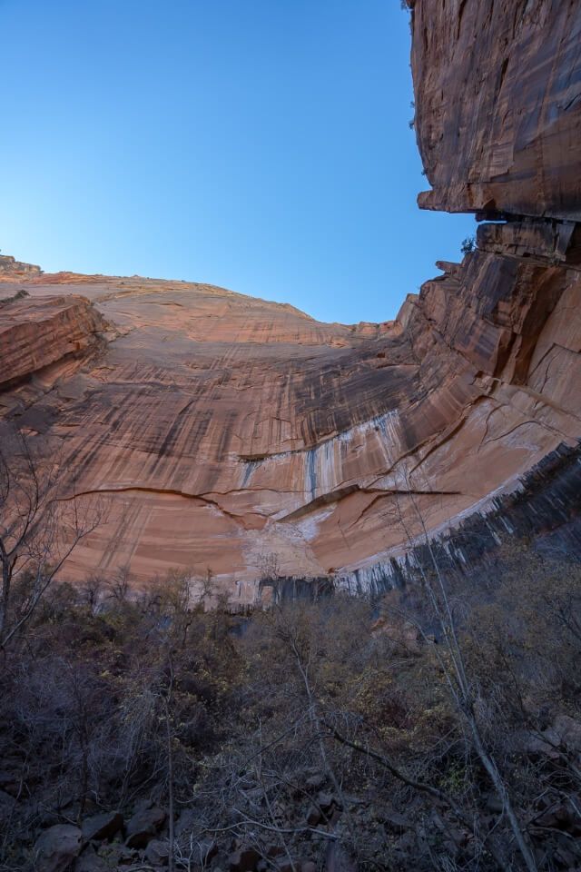 Looking up at towering canyon walls and clear blue sky in utah