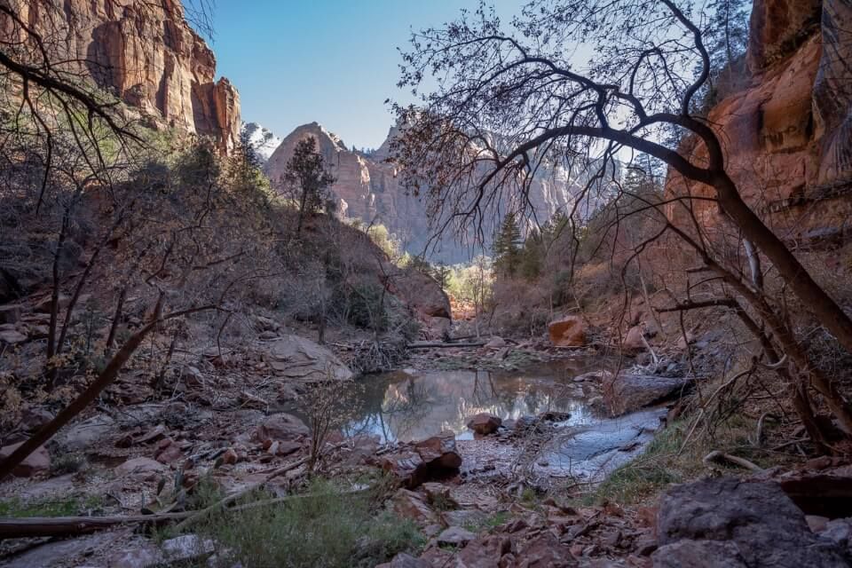 Shallow water in shadow with trees and vegetation surrounded by orange canyon walls in utah