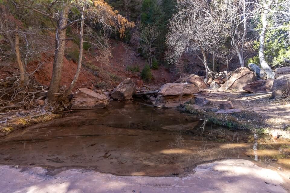 Middle Emerald Pool shallow water surrounded by orange rocks in zion national park