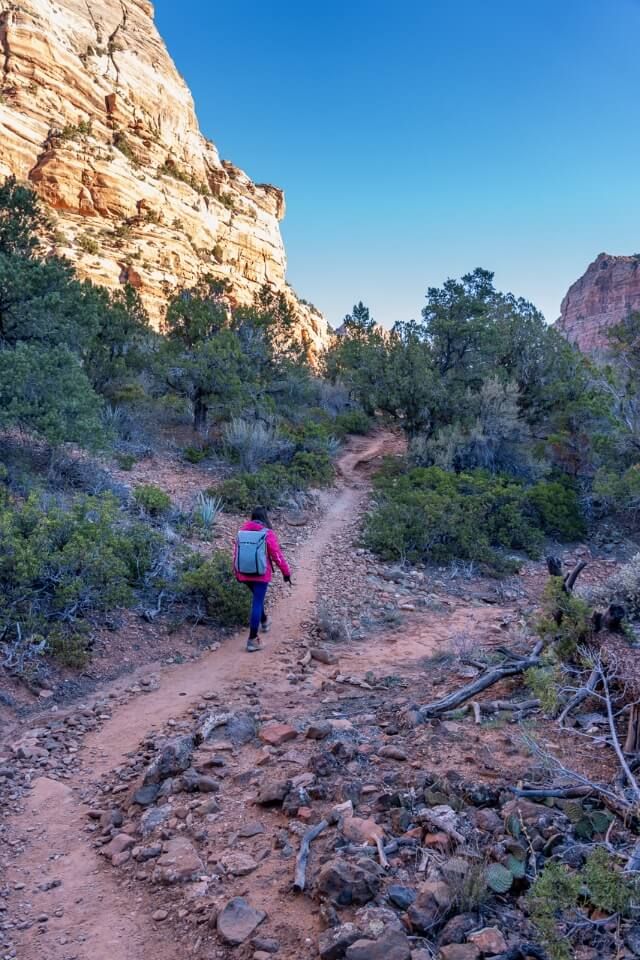 Start of hiking The Subway trail in Zion national park walking on dirt path on a sunny day