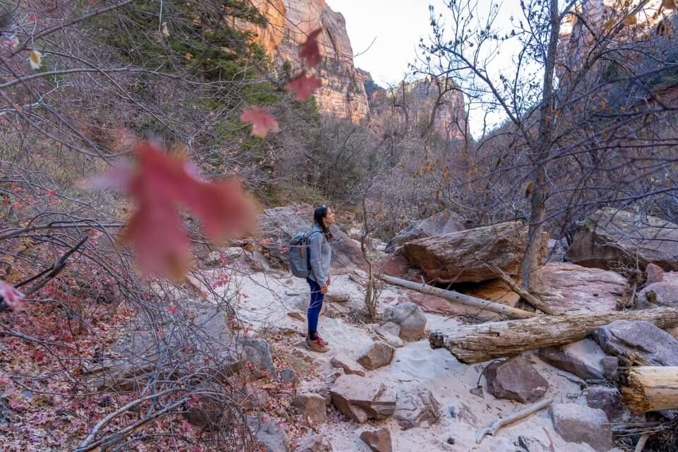 Hiking a river trail with big stones and colorful leaves in utah