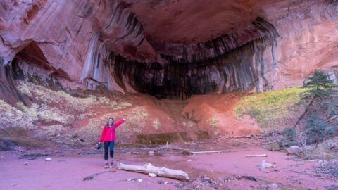 Taylor Creek Trail Zion: Hike To Double Arch Alcove
