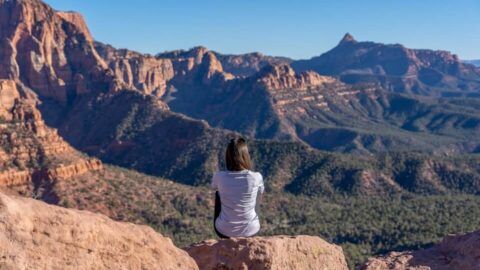 Where Are Those Morgans at the viewpoint of an amazing hike called Taylor Creek Overlook Trail in Kolob Canyon area of Zion National Park in Utah stunning view over mountains and forest