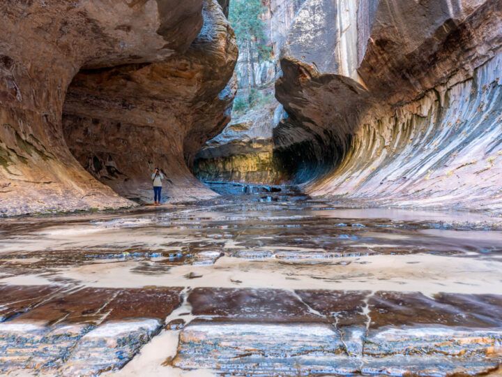 20 Best Hikes In Zion National Park For 2023