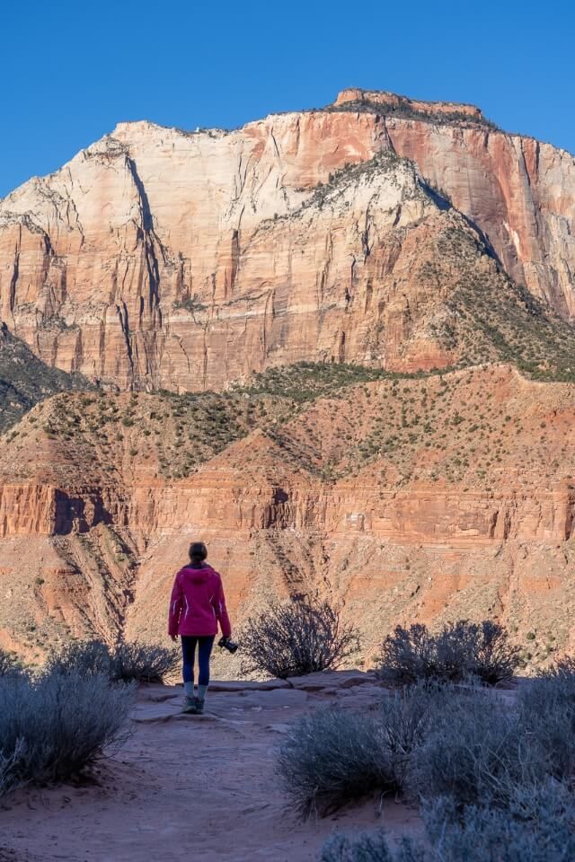 Hiking the Watchman Trail in Zion National Park at sunrise with camera to photograph light on sandstone wall