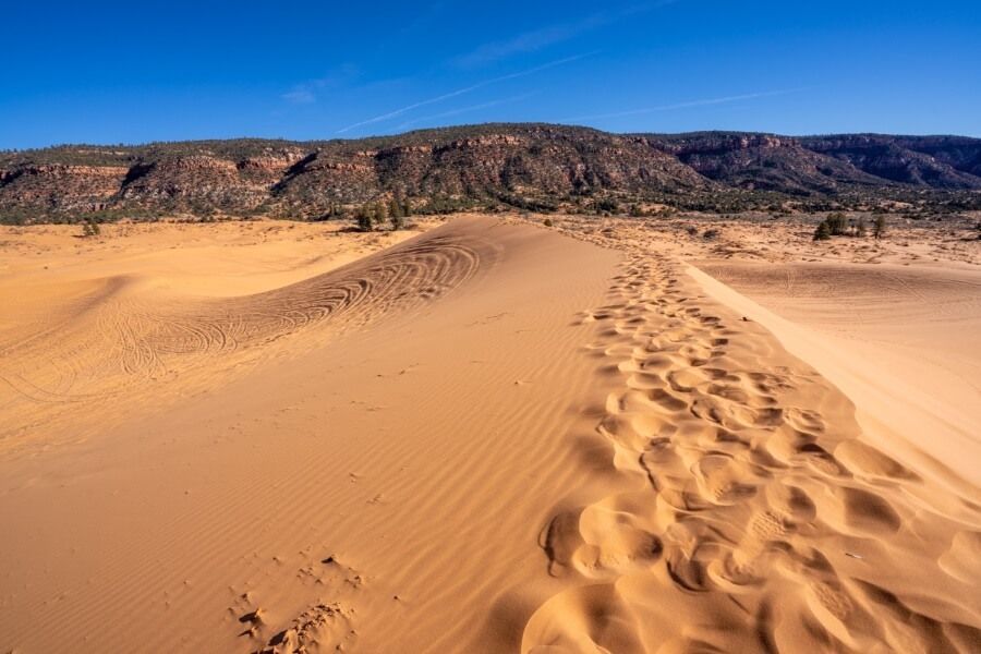 Gorgeous yellow and pink sand dune with blue sky in coral pink sand dunes state park Utah