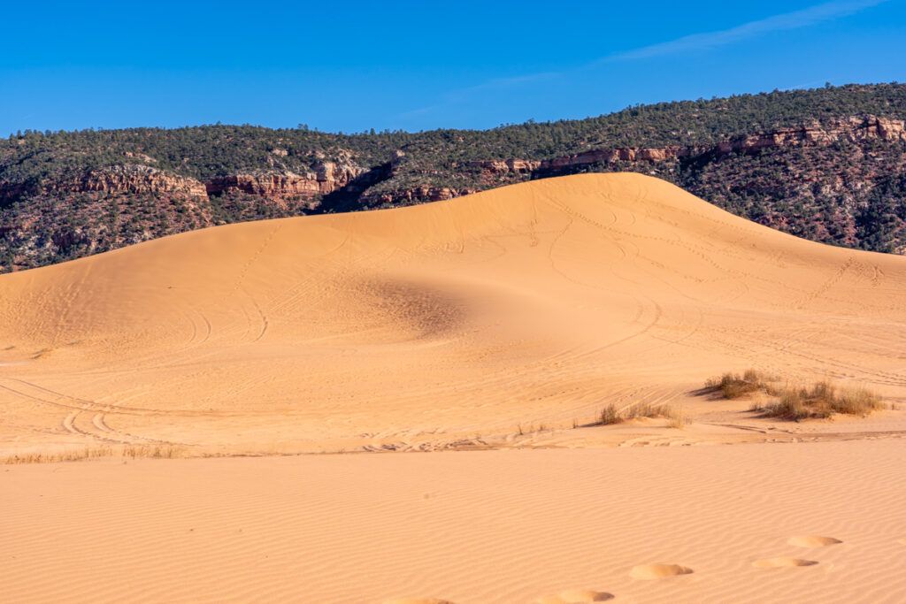 Tallest peaks and crests in a US southwest desert on a sunny day