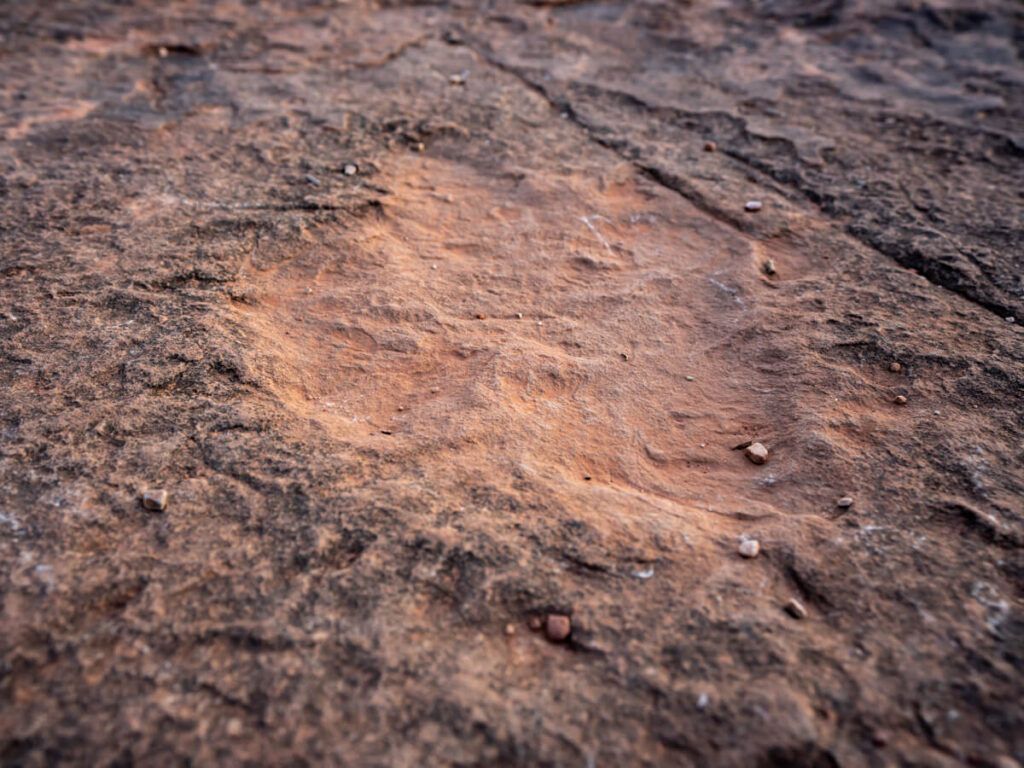 How To Hike Dinosaur Tracks Trail In Kanab, Utah
