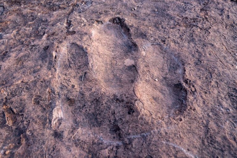 How To Hike Dinosaur Tracks Trail In Kanab, Utah