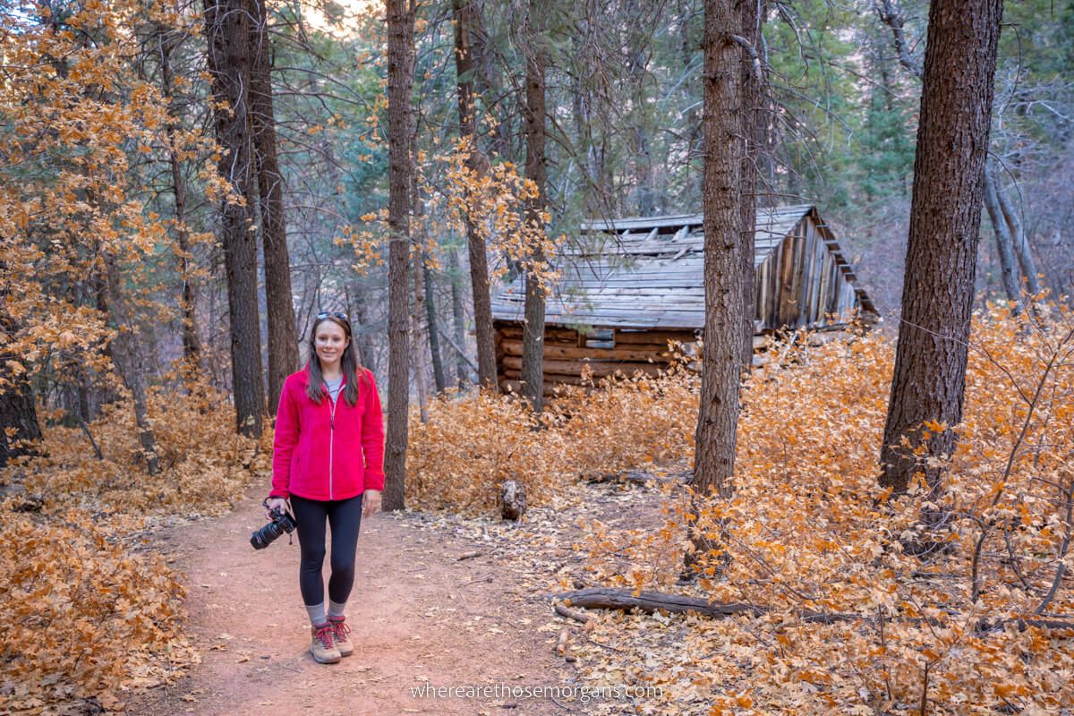 Hiker in a forest with wooden cabin and colorful leaves