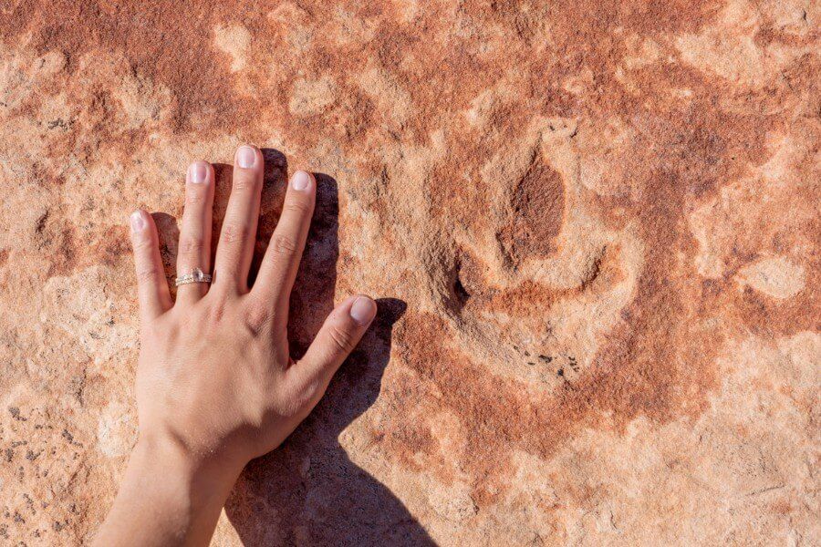 Hand next to dinosaur track print in coyote buttes north