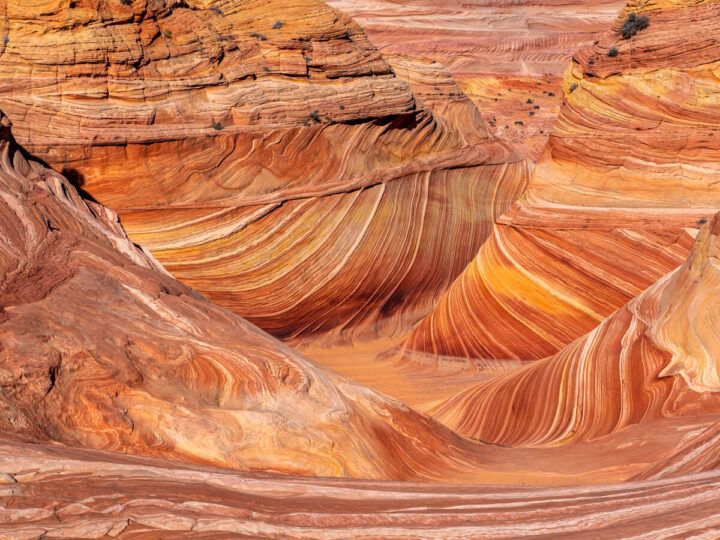 Spectacular patterns and colors inside The Wave under full sunlight with no shadows stunning hike and photography location in northern arizona