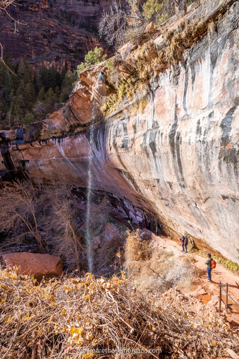Lower Emerald Pool waterfall in Zion one of the best family hikes in Zion national park