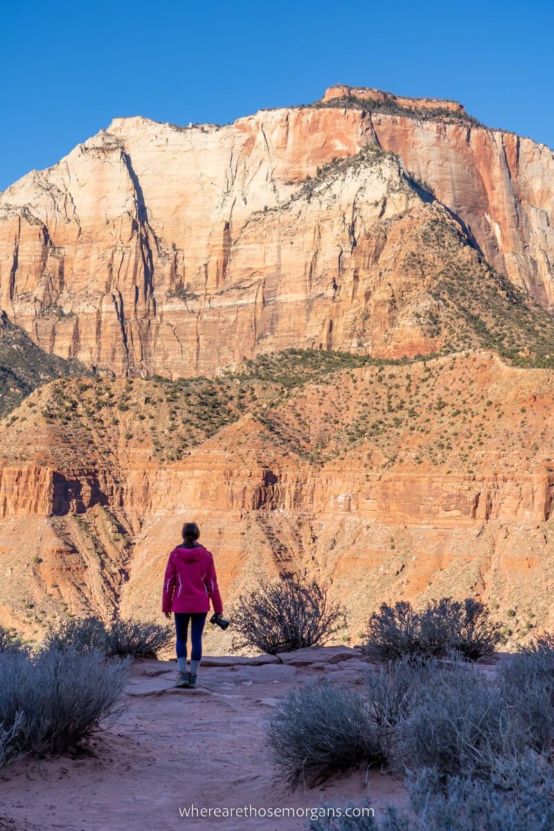 Hiker at sunrise looking at Watchman Overlook one of the best hikes in Zion national park Utah