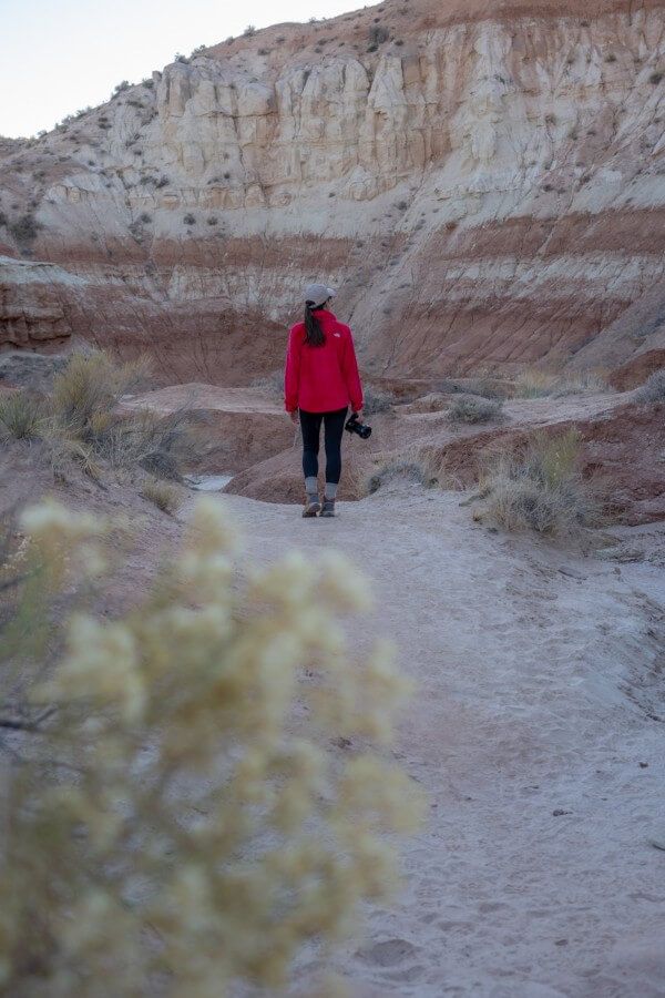 Woman on trail with red jacket and flower in foreground blurred out with bokeh