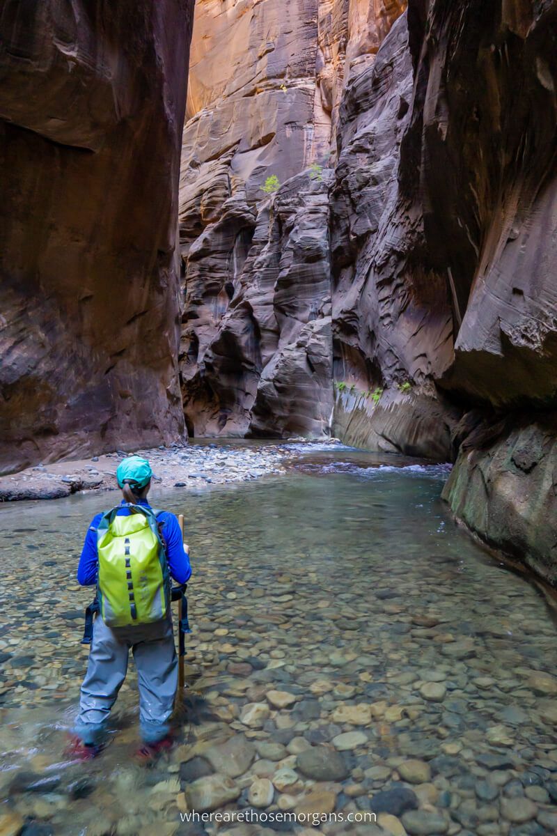 Hiker in waterproof gear wading through water in The Narrows slot canyon the most famous hike in Zion national park