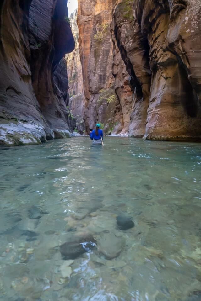 Hiking the Narrows in Zion National Park on a 3 day road trip itinerary with bryce canyon wading through water waist deep with walls either side