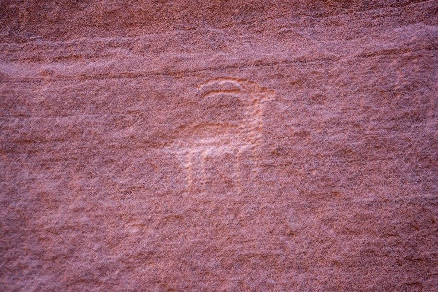 Petroglyphs of a goat carved into a red sandstone wall
