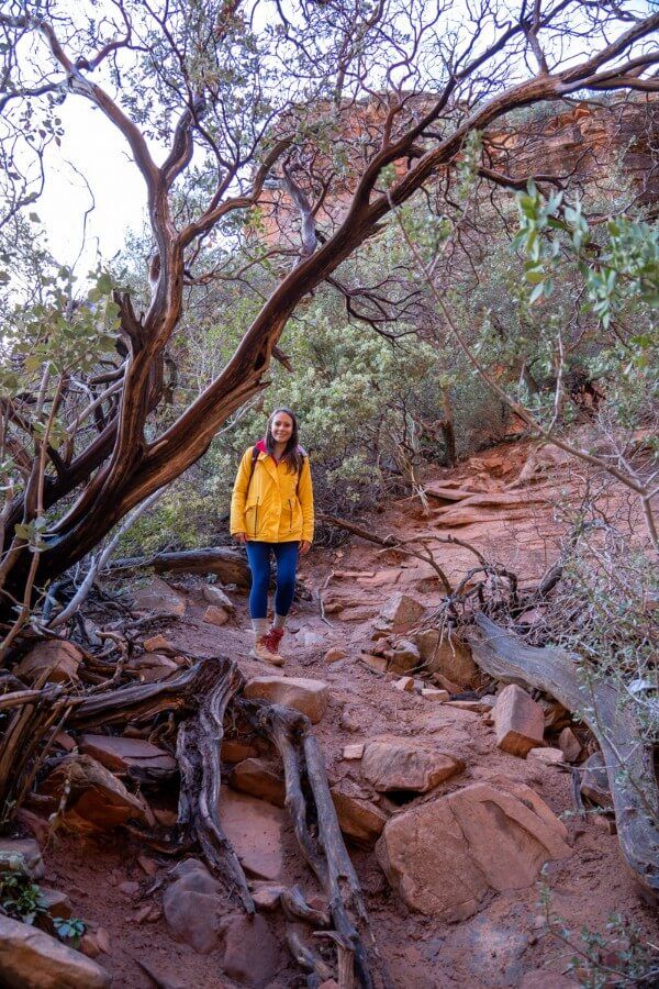 Hiker climbing steep bank to access a ledge for entry to Subway Cave on the Boynton Canyon Trail hike in Sedona