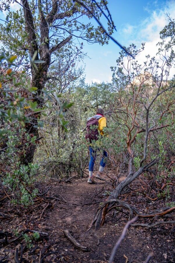 Hiking through vegetation shrubs and tree roots narrow path