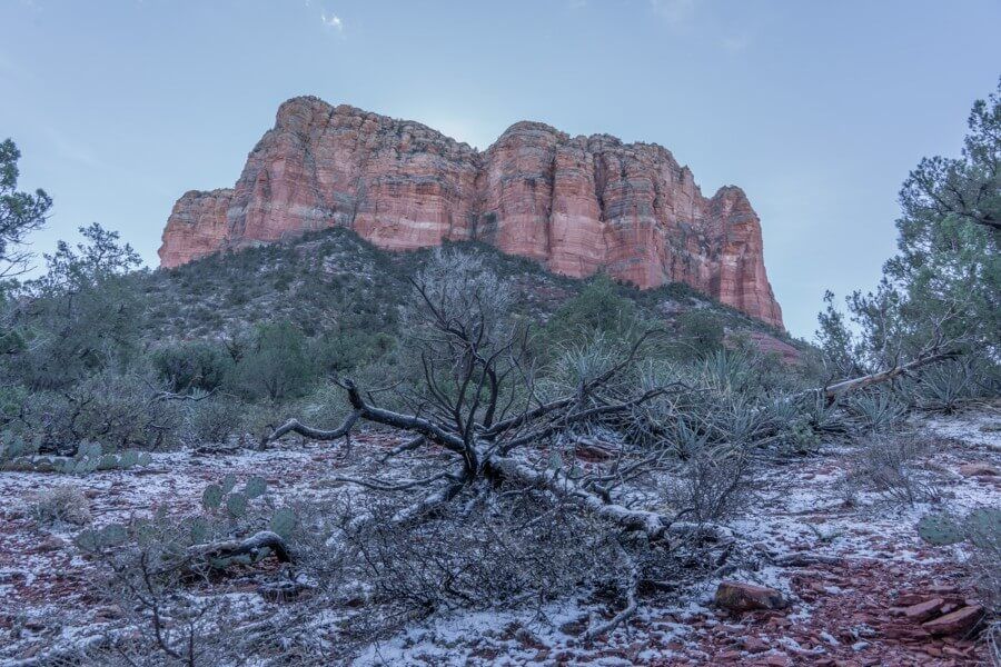 Frozen ice and ground frost in vegetation and shadows with huge red rock formation looming in the background