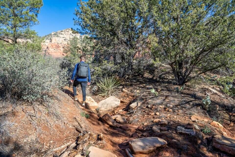 Rough vegetation and junipers unmaintained hiking trail in arizona