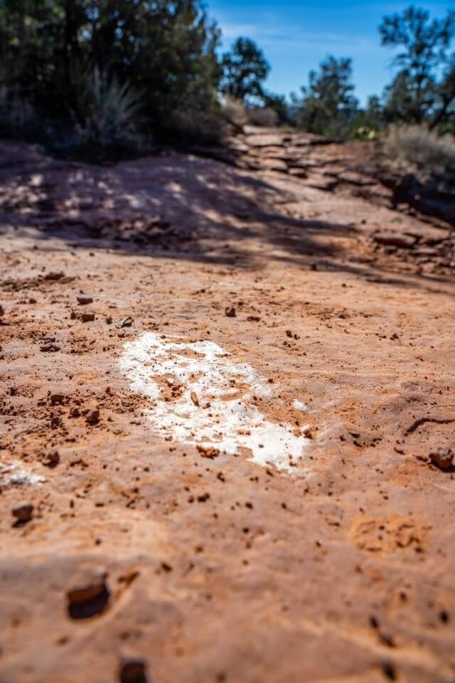 Painted white lines on red rocks for directions on a hiking trail in arizona