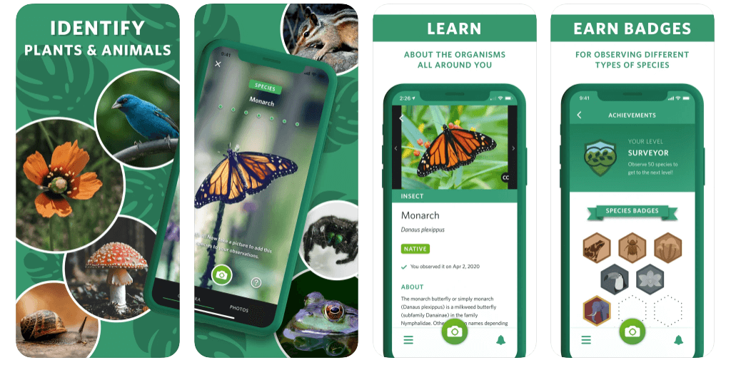 Seek by i Naturalist is a fantastic resource for nature lovers